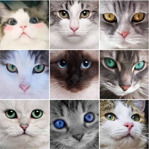 DIY 5D Diamond Painting Cat Face Animal Mosaic Diamond Embroidery Cross Stitch Full Round Rhinestone Art Wall Sticker Home Decor