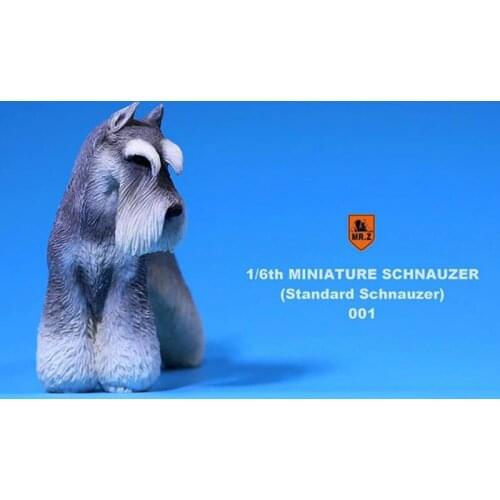 1:6 Scale Mr.Z Resin PVC Miniature Standard Schnauzer Dog Model Toy Fit 12" Action Figure Toys Accessories Indoor Desk Ornaments