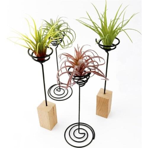 3pcs Iron Air Plant Stand Container Tillandsia Holder Tabletop Plant Pot Display Rack Vase with Wooden Base