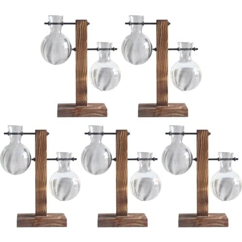 5pcs DESKTOP GLASS PLANTER BULB VASE WOODEN STAND FOR HYDROPONICS PLANTS