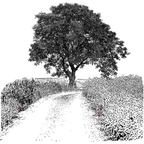 Tree Transparent Clear Stamps for D Clear Stamp Or stamp for DIY Scrapbooking Kids Fun Decoration Supplies A2045