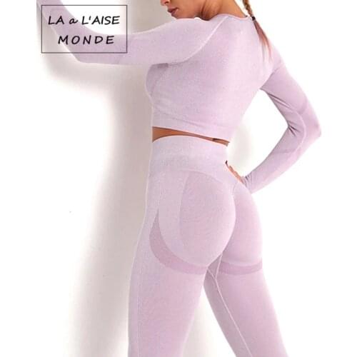 2 Piece Set Women Seamless Yoga Suit Female Outdoor Fitness High Waist Hip Nylon Leggings Tight Long-sleeved Gym Suit