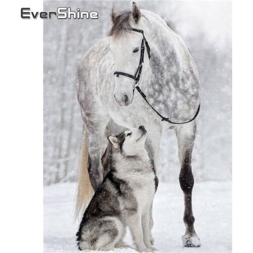 EverShine Diamond Embroidery Animal Diamond Mosaic Horse Embroidery Beaded Rhinestones Art New Arrival Winter Handmade Gift