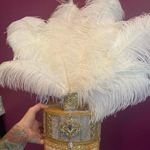 20-25 CM Ostrich Feathers Dyed Colorful Ostrich Feather Wedding Party Dress Decoration Sewing Crafts Plume 10 pcs/lot Wholesale