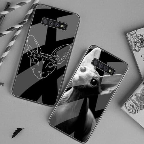 HUAGETOP Sphynx Cat black Phone Case Hull Tempered Glass For Samsung S20 Plus S7 S8 S9 S10 Plus Note 8 9 10 Plus
