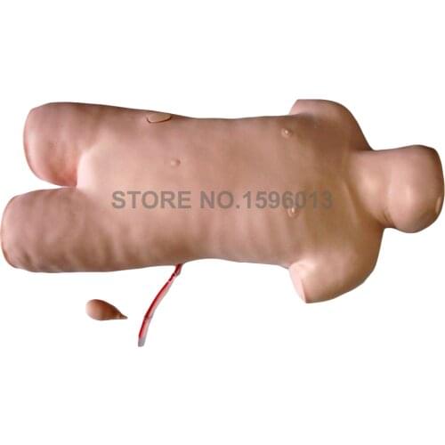 Bone Marrow Puncture Simulator Venipuncture Manikin Paracentesis Training Model