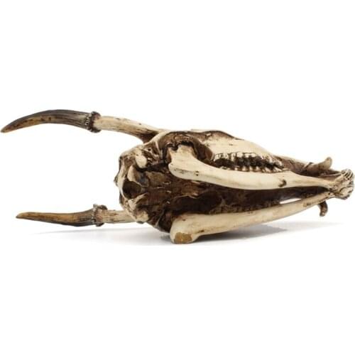 Imitation Wild Goat Skull Desktop Ornaments Home Interior Decor Creative Model N0PA