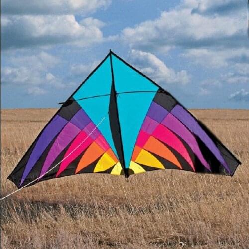 Outdoor Fun Sport Toys 3.6 m High Quality Power Triangle Kite Good Flying Hot Sale