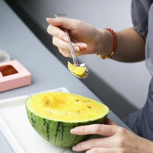 Kitchen Spoon Creative Portable Wear-resistant Coffee Ice Cream Teaspoon Long Handle Watermelon Dessert Shovel Spoon Wholesale