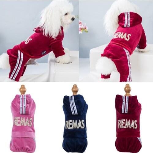 Dog clothes spring and autumn new gold velvet dog hoodie four-legged sports and leisure clothing Teddy clothes one-piece pet fou