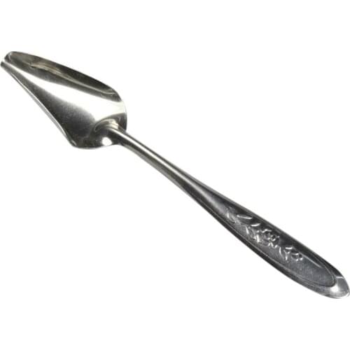 1pc Stainless Steel Parrot Feeding Scoop Portable Anti-Rust Bird Feeding Spoon Milk Powder Spoon Pet Feeding Supplies