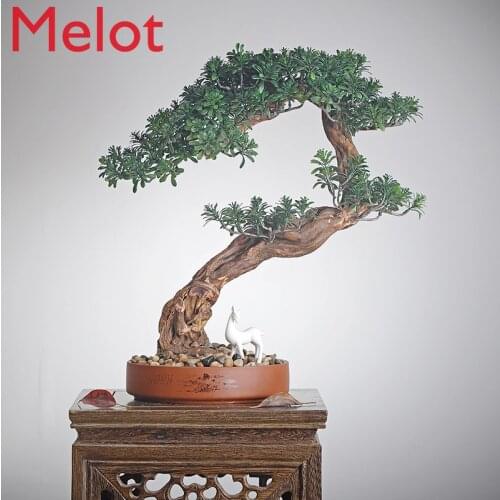 New Chinese Style Root Carving CraftsGreeting Pine Tree Arborvitae Book Desktop Living Room Office Entrance Bonsai Decoration