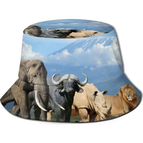 CINESSD New Fashion Bucket Hats Fisherman Caps For Women Men Gorras Summer Africa Animal Elephant Cow Leopard Rhinoceros Lion