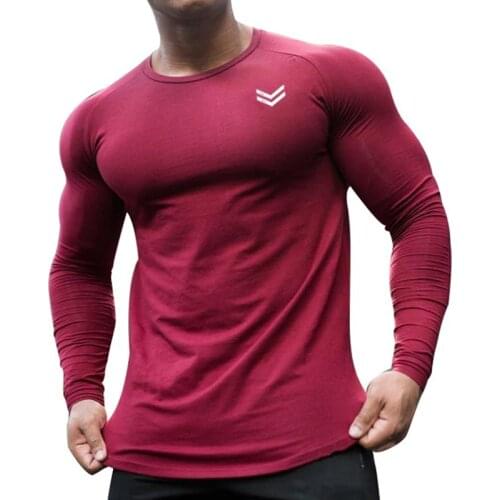Autumn Fitness Gym Shirt Men Quick Dry Fit Running T Shirt Long Sleeve Rashgard Men Sport Shirt Solid Workout Tshirt Sportswear