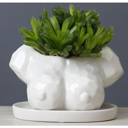 Ceramic Body Art Succulent Flower Pot Desktop Ornaments Vase Creative Bust Sculpture Flower Pot Plant Potted Home Decoration