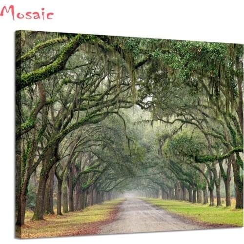 Moss Covered Green Oak Trees on Forest landscape 5d DIY Diamond Painting Cross Stitch Full Square Drill Diamond Embroidery