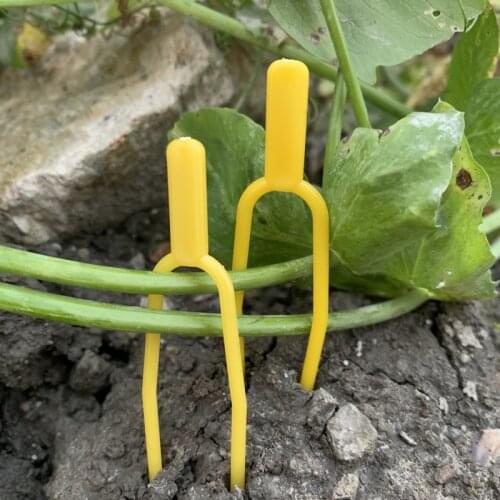 1000PCS Plastic Plant Clips Garden Supplies Fixing Fastening Fixture Clamp Strawberry Fork Farming Clip Plant Support Vine Holde