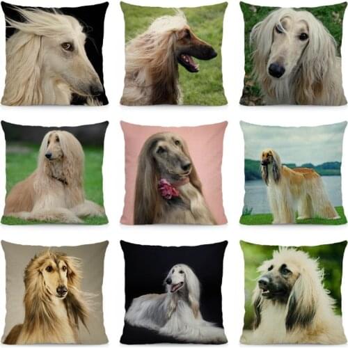 XUNYU Afghan Hound Cushion Cover Dog Pillow Case Home Decoration Throw Pillows Decor Home 45x45cm DWG035
