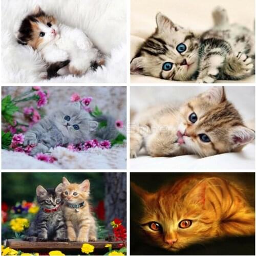 5d Diy Diamond Painting Cute Cat Diamond Full Diamond Inlaid Animal Embroidery Cross Stitch Home Decoration Painting