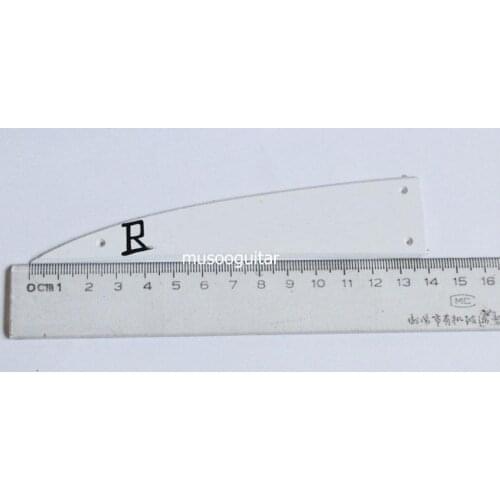 Ric truss rod cover with three screws in left hand