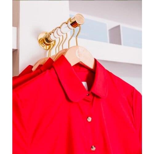 Lucite projection hook (polished brass, satin brass or nickel color) Lucite facing outward-retail projection hook-retail install