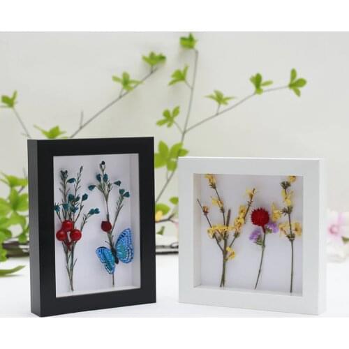 Creative Box Frame Hollow 2cm For DIY Handmade Arts,Dried Flower/Branch,Crafts,Butterflies,Insects And Paper Drawing Dispaly