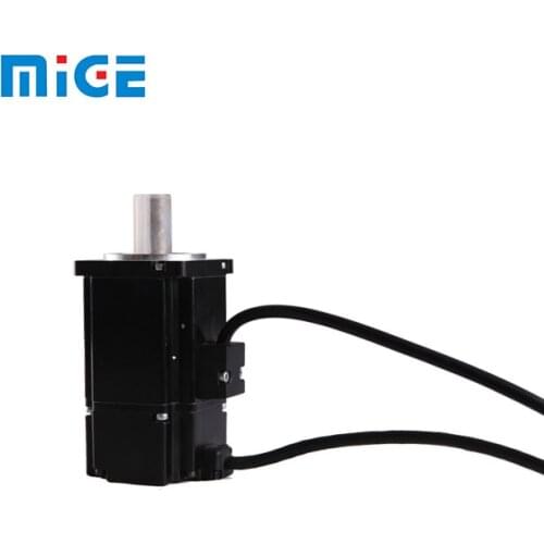 Professional small brushless 60CST-M01930 ac servo motor