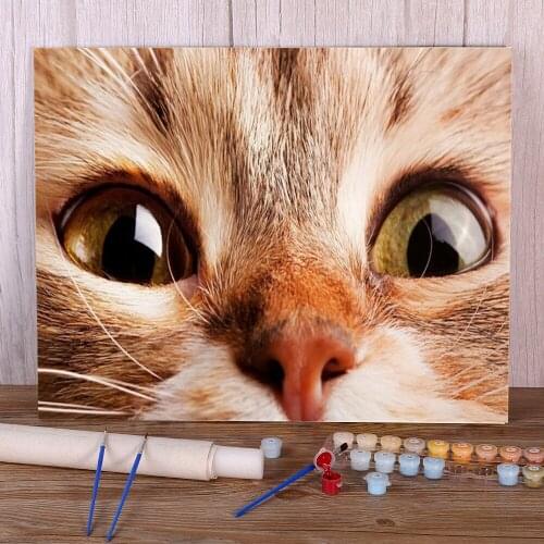 Cat Animal DIY Painting By Numbers Complete Kit Oil Paints 50*70 Painting On Canvas Home Decoration Kids Drawing