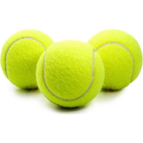 Cat Dog Mini Bouncy ball Toys Lnteractive Ball nip Cat dog Training Toy Pet Playing Ball Pet Supplies Products Toy For Cats