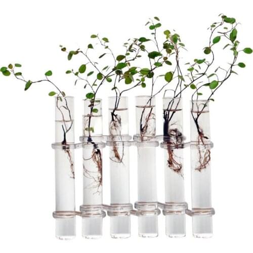 6 Glass Tubes Shape Hanging Hydroponic Flower Plant Vase Terrarium Container