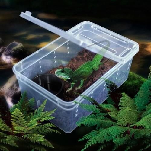 Transparent Reptile Feeding Box Reptile Box Amphibian for Snake Cage Lizard Spider Reptile Combination