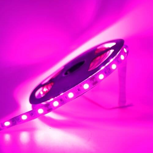 Pink Color Led Strip Light SMD 5050 Not waterproof Led Tape Stripe Flexible Ribbon String Brighter than 5630 3528 1/2/3/4/5M 12V