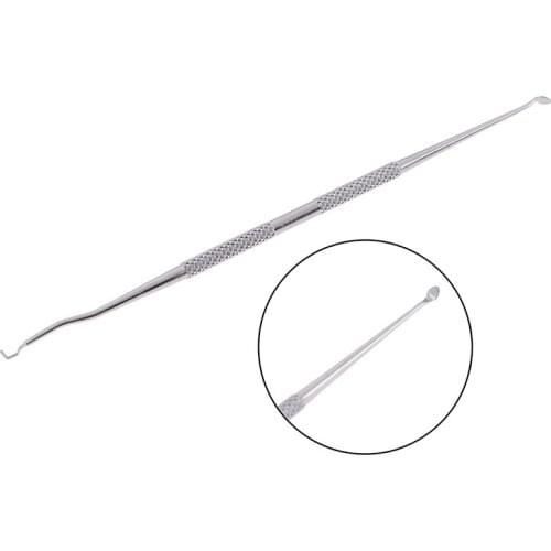 1pcs Beekeeping Equipment Queen Bee Larva Transferring Needle Worm Moving Grafting for Beekeeper Tools Supplies