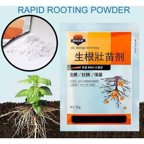 2Pcs Fast Rooting Powder Rooting Hormone Powder Improve Flowering Cutting Soaking Survival Rapid Medicinal Fertilizer Seedling