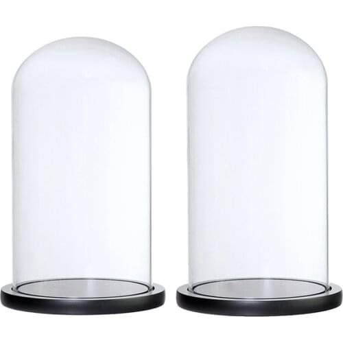 2 Pcs. Jars Cloches Plants And Flowers Containers Succulents Terrarium