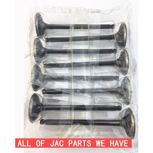 JAC S5 Intake valve Black 1003202GE