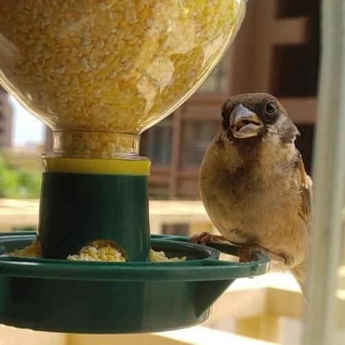 Automatic Wild Bird Seeds Feed Forest Hanging Cup Garden Bird Feeder Container
