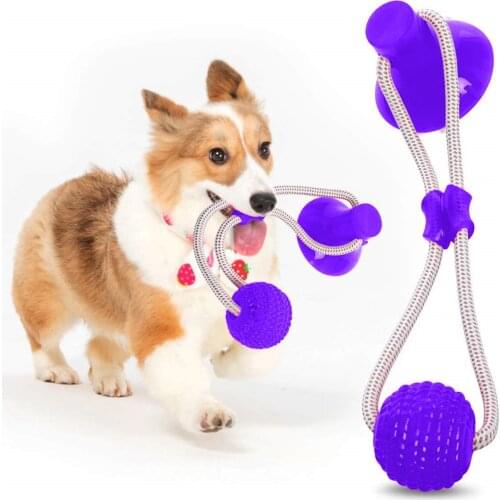 CHAMSGEND Pet Supplies