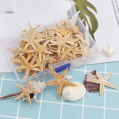 1 Box Natural Starfish Seashell Beach Craft Natural Sea Stars DIY Beach Wedding Decoration Epoxy Resin Art Crafts1-5cm