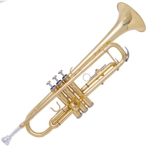 FLOFAIR Wind Instrument Brass lacquer Gold beginner Flat alto Entry Band Trumpet Instrument Giving Away Musical Lnstrument Box