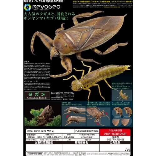 Genuine KAIYODOA Giant Water Bug Insect Figure Doll Model Ornaments Deformation Gift Creative Funny Educational Toys Present