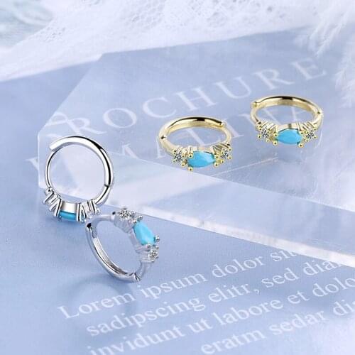 925 Sterling Silver Round Small Blue Diamond Hoop Earrings for Women Men Mosaic Colored Zircon Circle Earrings Wholesale