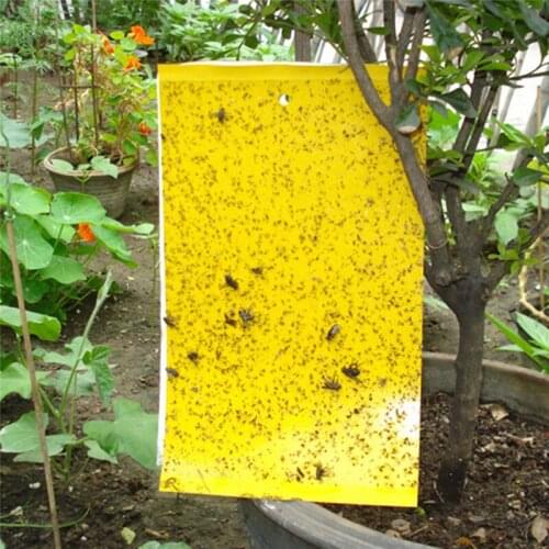 20pc Double-Sided Sticky Board Yellow Kill Pests Trap Garden Small Helper Fruit Tree Vegetable Insect-Proof Board