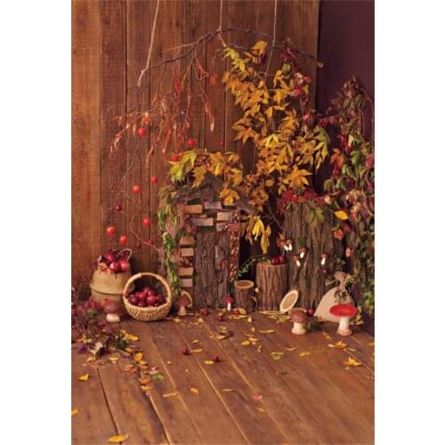 Laeacco Autumn Wooden Wall Floor Fallen Maple Leaves Fruit Warehouse Child Baby Portrait Photo Background Photography Backdrop