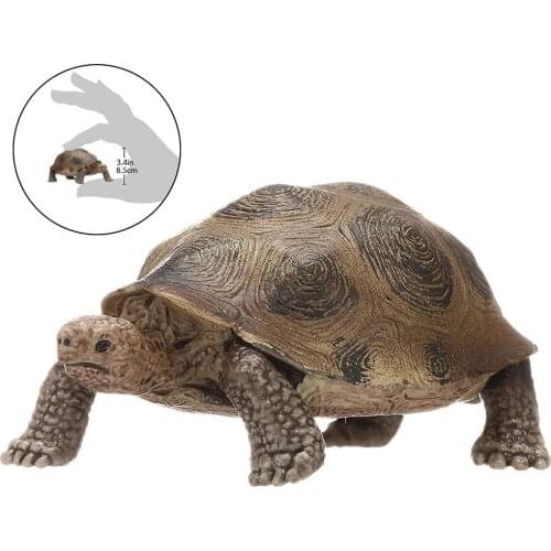 Giant Tortoise Nimal Model Toy Genuine Wild Life Zoo Jungle Farm Animals Model Tortoise Kids Educational Toy For Children Gift