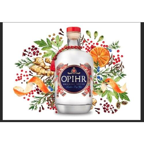Opihr Gin Metal Sign She Shed Home Decor Wall Plaque Garage Man Cave Bar Tonic