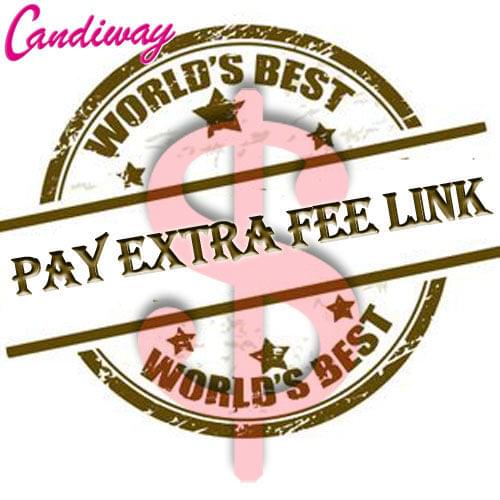 Pay extra fee link ,not ship anything