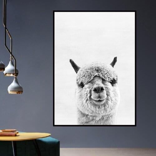 South America Animal Wall Art Decoration Picture Animal Alpaca Canvas Print Painting Modern Home Decoration Poster