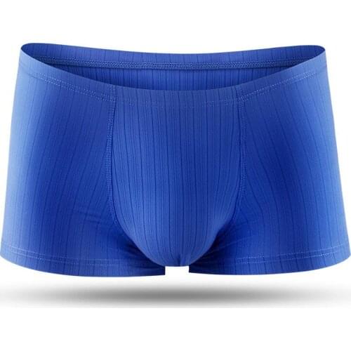 Mens Boxers Underwear Sexy Gay Ice Silk Underpants Male Solid Seamless Panties Men Clothing Breathable Boxershorts Plus Size