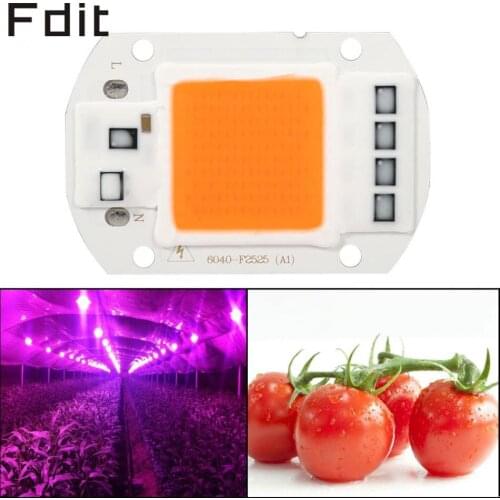 50W Full Spectrum Led Grow Light Warm/White Led COB Chip Grow Light Growth Lamp Garden Hydroponic Plant